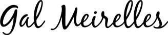 gal-meirelles-logo